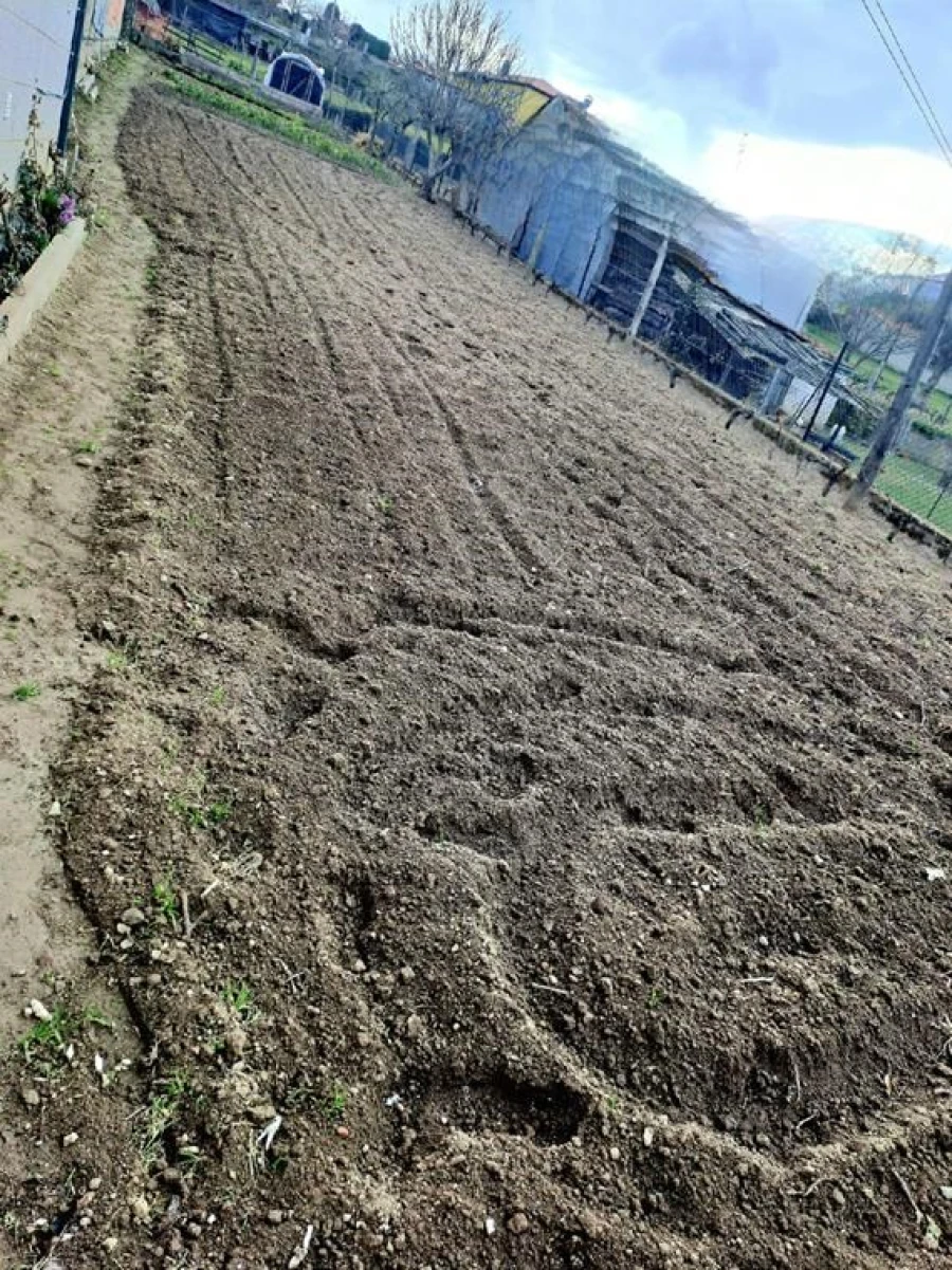 Moradia T4 para Venda em Vilar de Nantes Foto 18