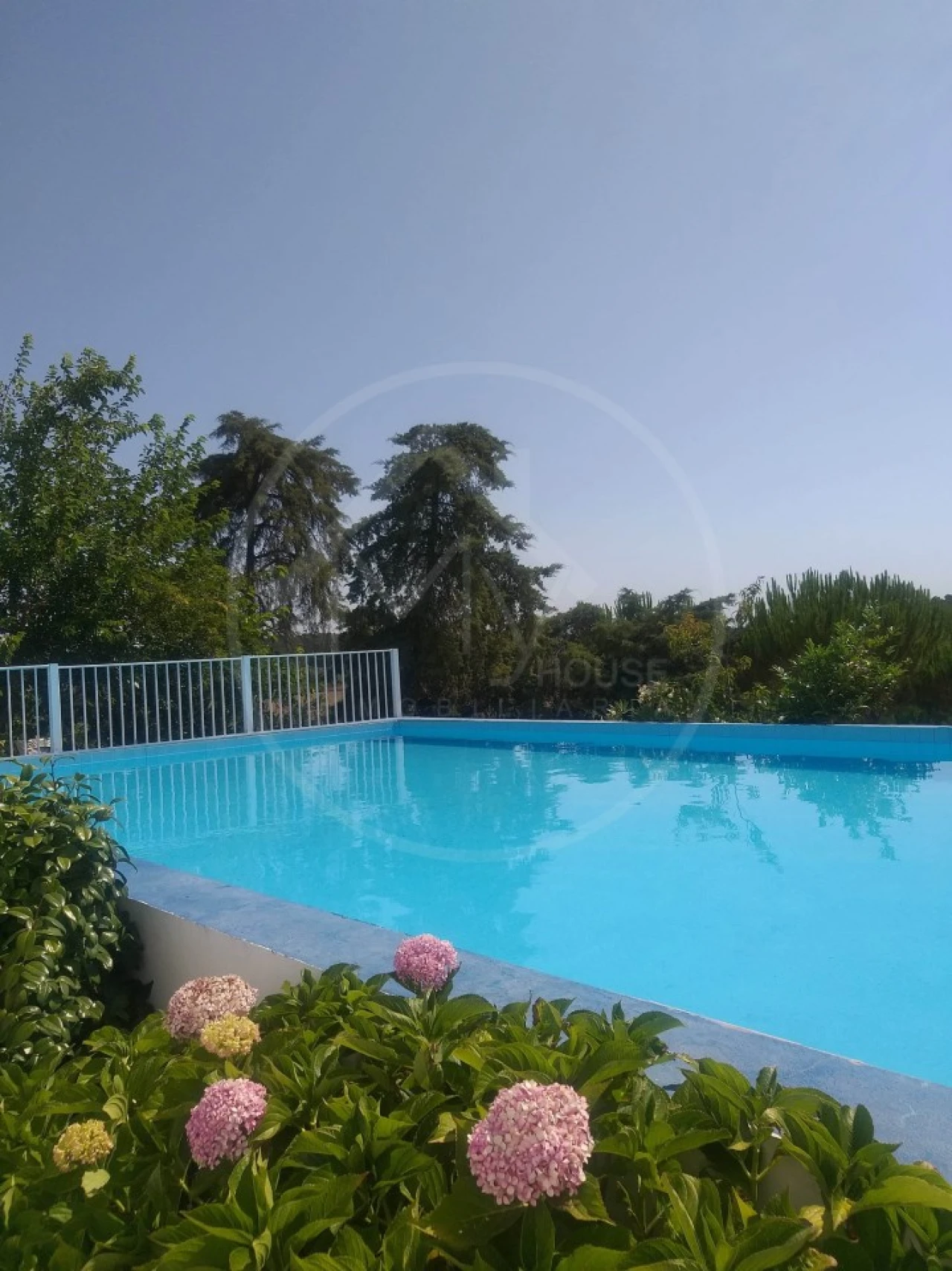 Quinta T8 para Venda em Melides Foto 1