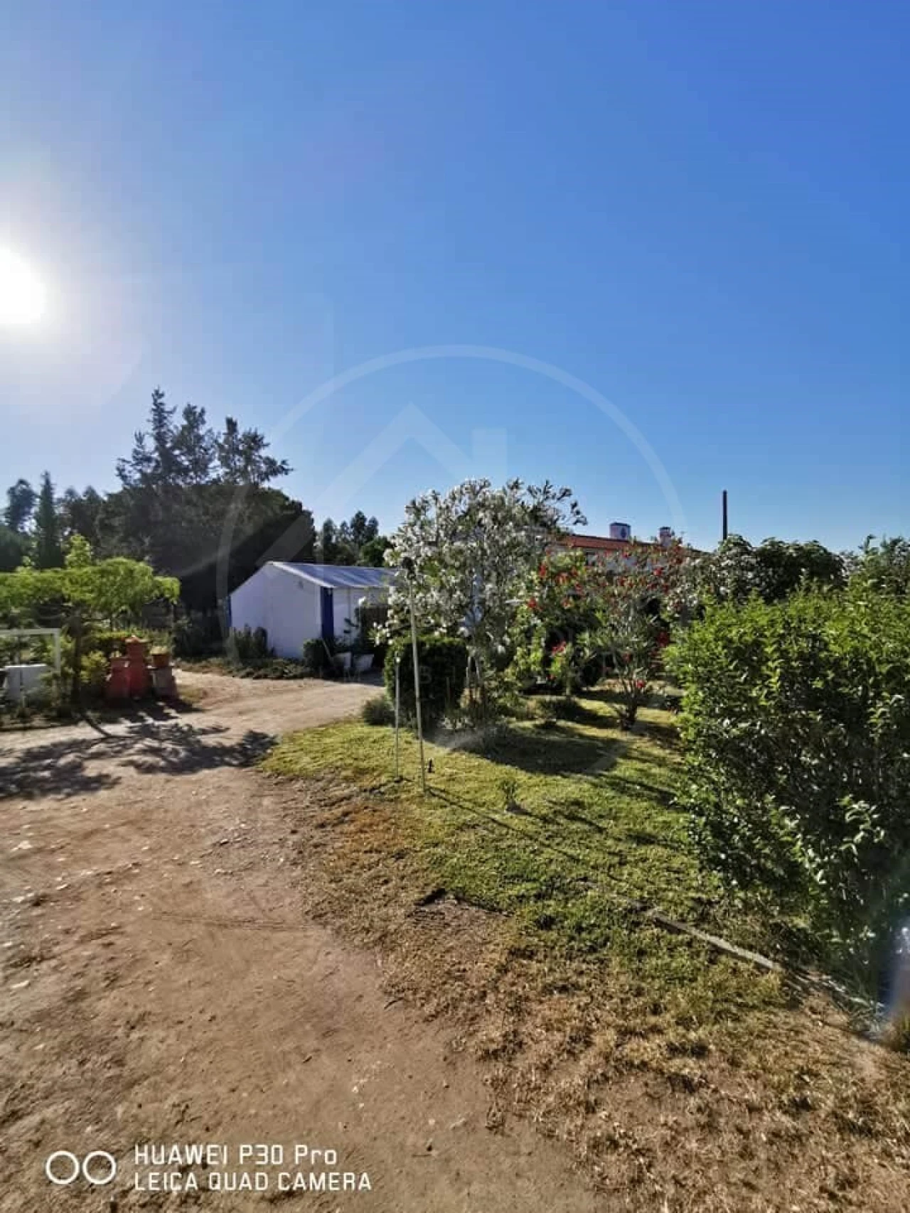 Quinta T8 para Venda em Melides Foto 3