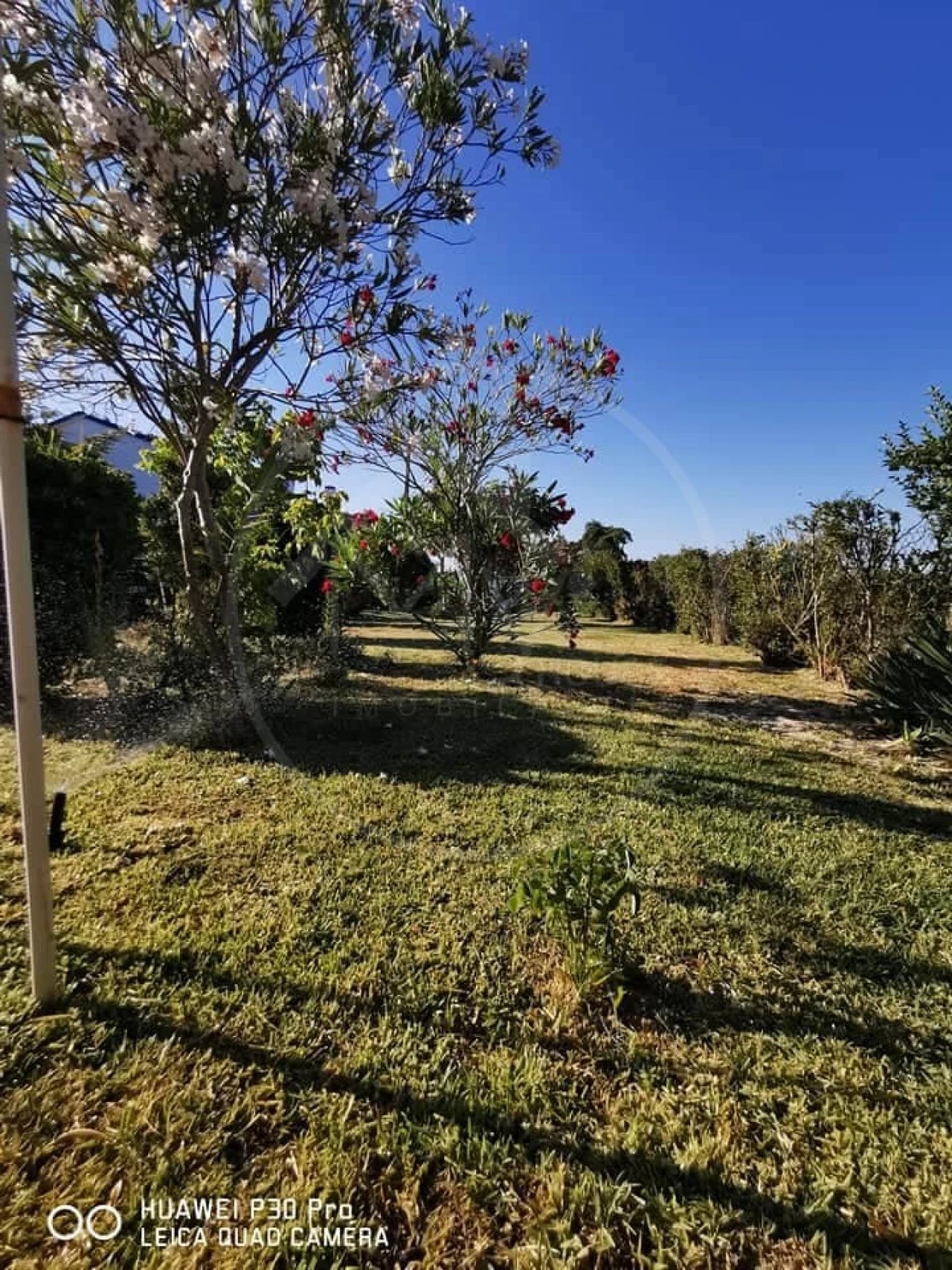 Quinta T8 para Venda em Melides Foto 4