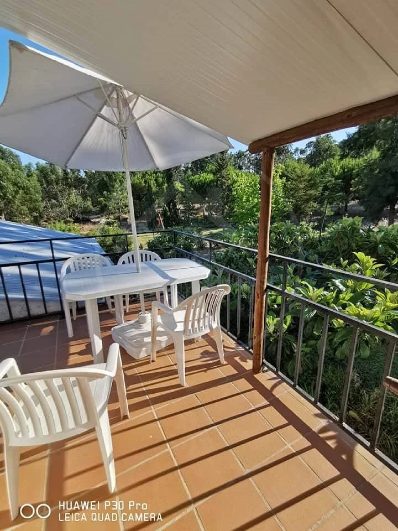 Quinta T8 para Venda em Melides Foto 13