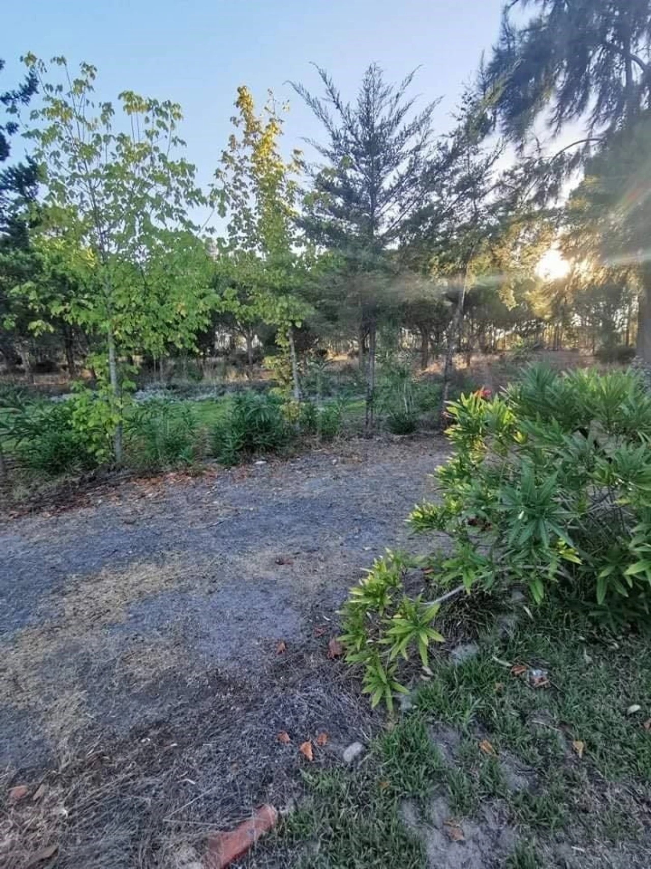 Quinta T8 para Venda em Melides Foto 14