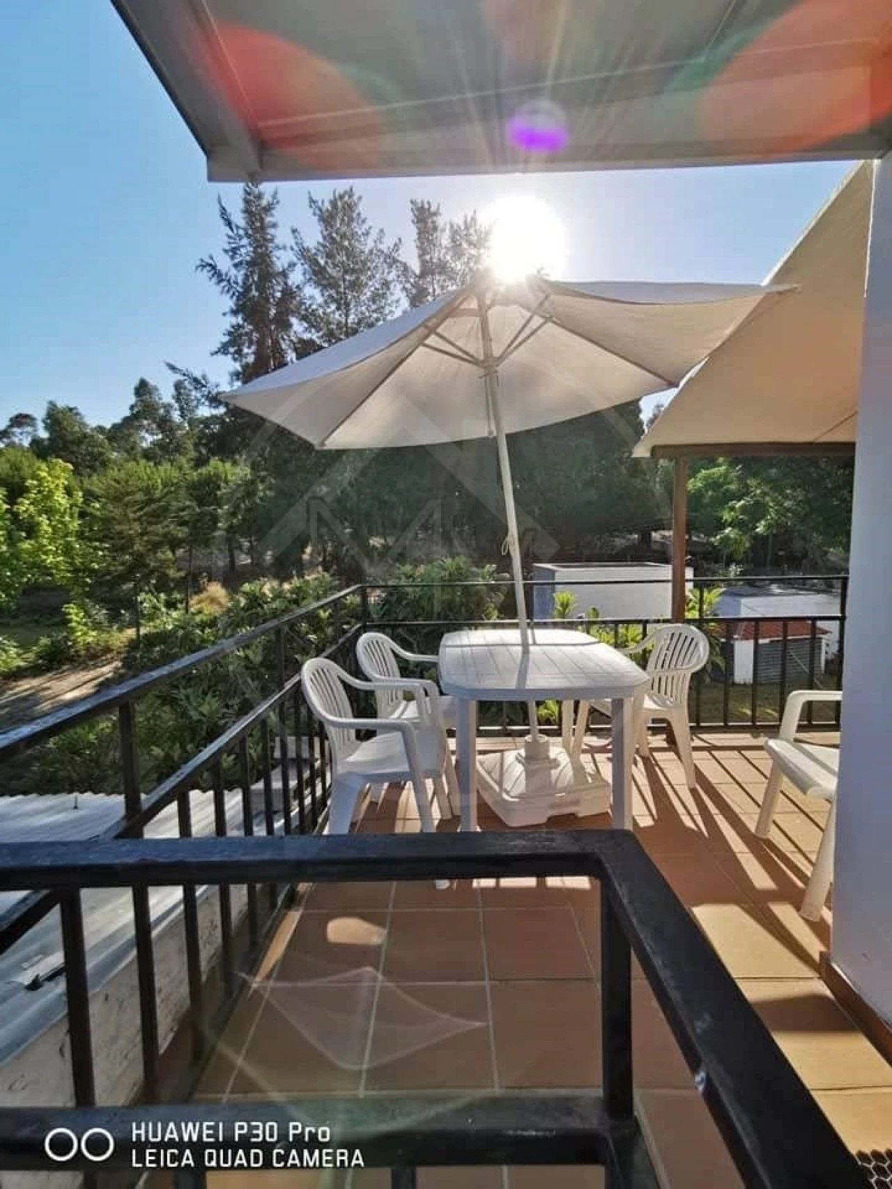 Quinta T8 para Venda em Melides Foto 25