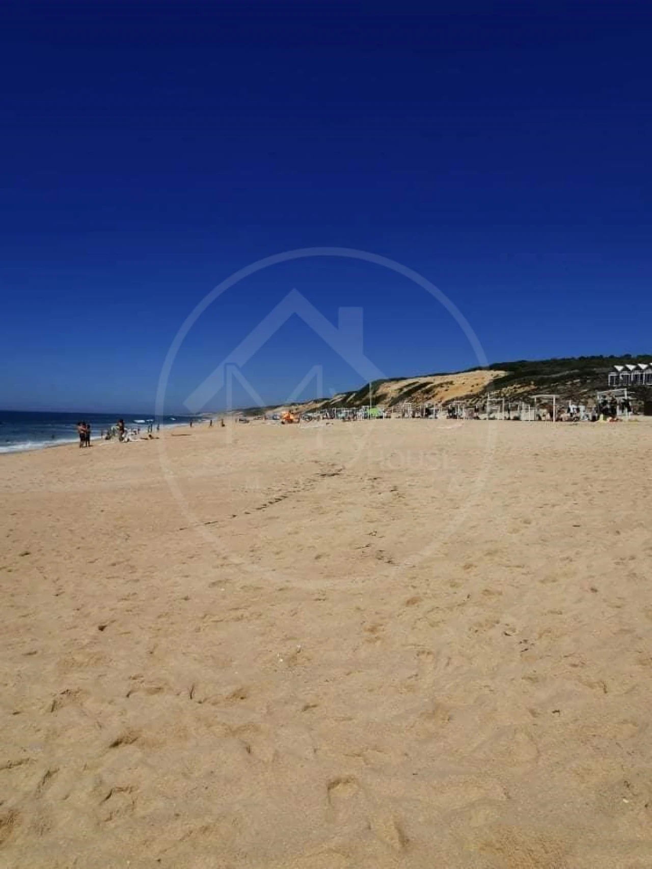 Quinta T8 para Venda em Melides Foto 29