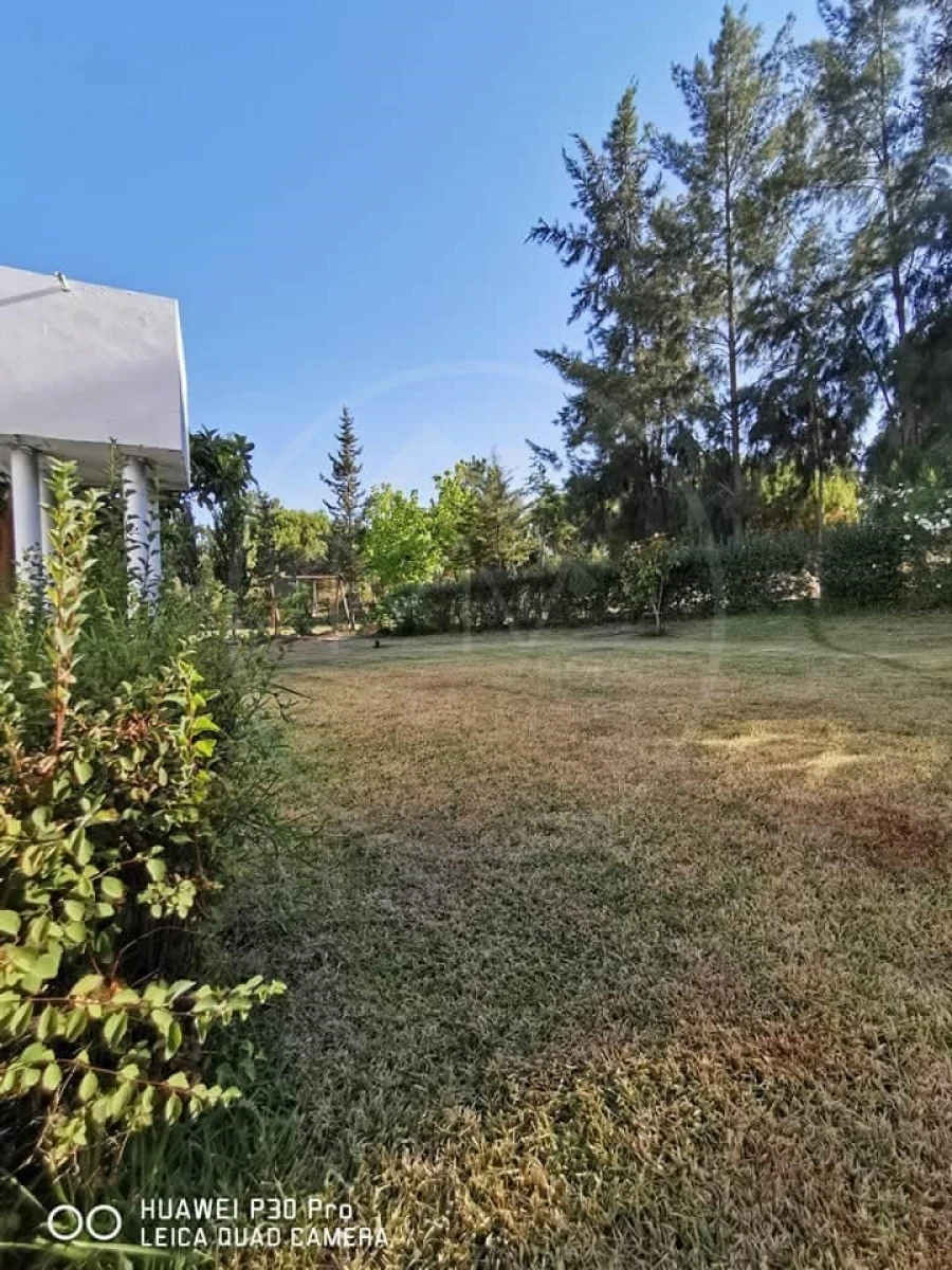 Quinta T8 para Venda em Melides Foto 5