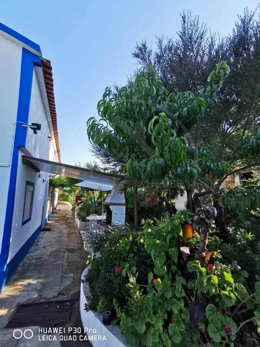 Quinta T8 para Venda em Melides Foto 17