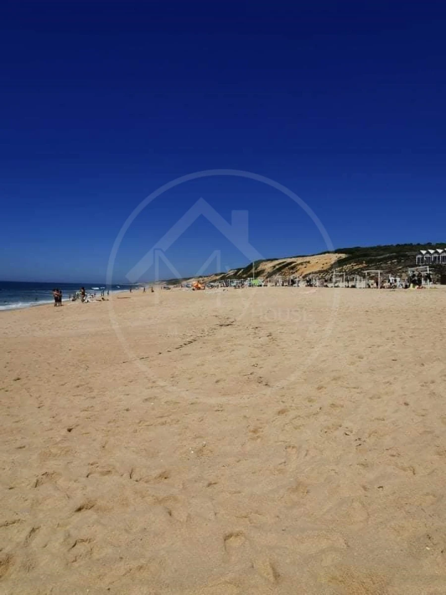 Quinta T8 para Venda em Melides Foto 29