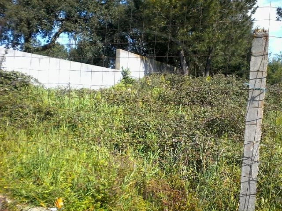 Terreno para Venda em Pedrouços Foto 1