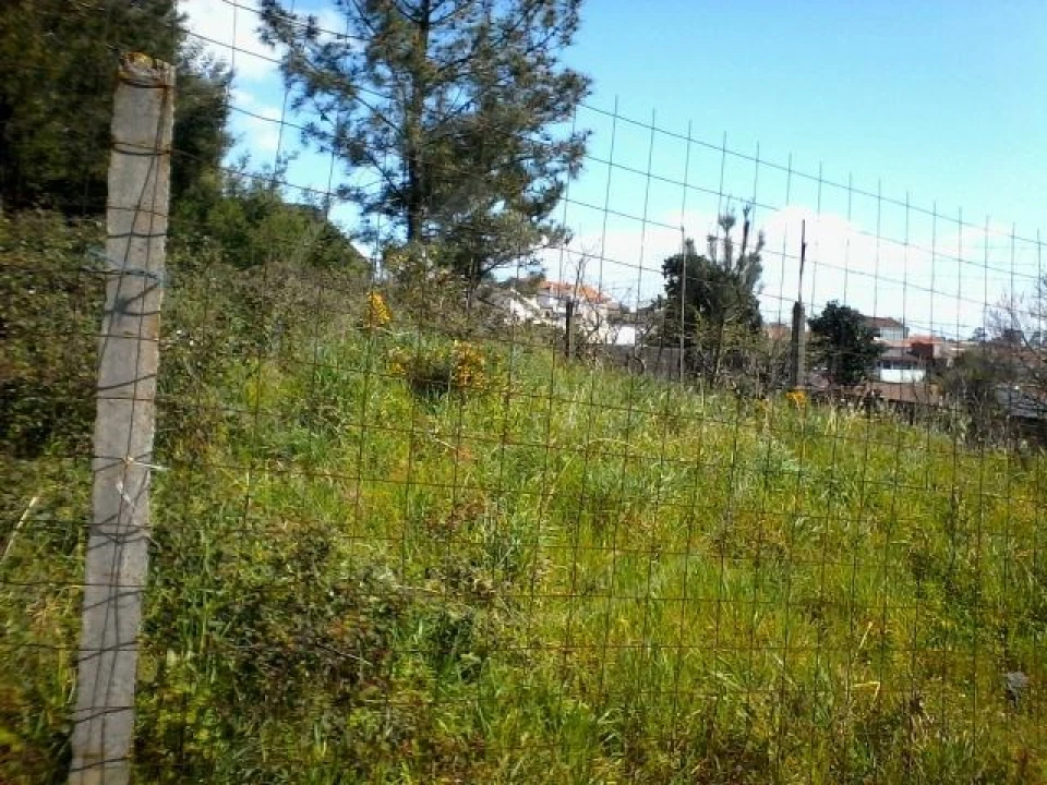 Terreno para Venda em Pedrouços Foto 2