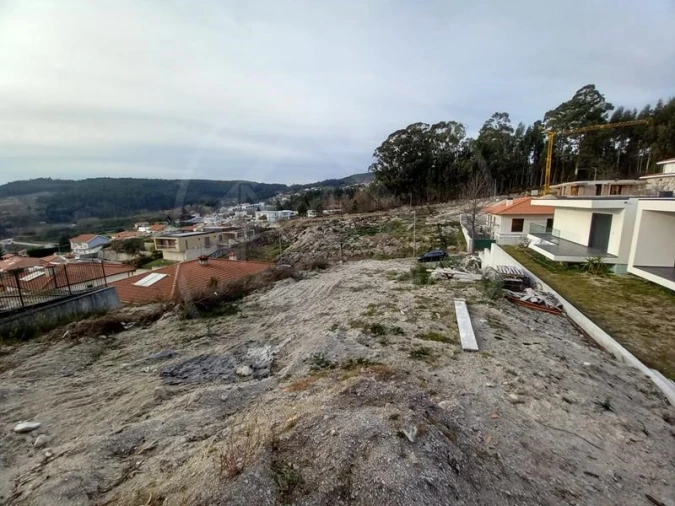 Terreno para Venda em Arões (São Romão) Foto 2