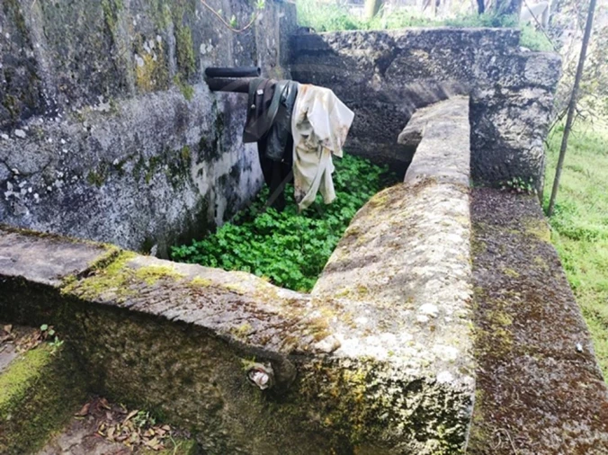 Moradia T8 para Venda em Valtorno e Mourão Foto 57