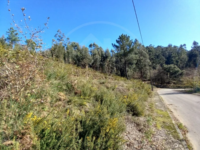 Terreno para Venda em Pombeiro de Ribavizela Foto 3