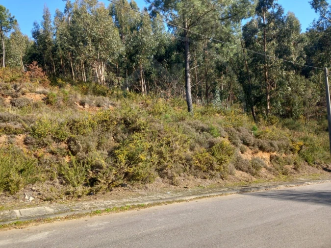 Terreno para Venda em Pombeiro de Ribavizela Foto 4