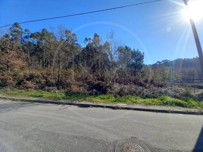 Terreno para Venda em Pombeiro de Ribavizela Foto 5