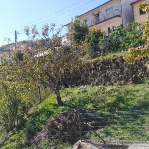 Moradia T4 para Venda em Vila Pouca de Aguiar Foto 23