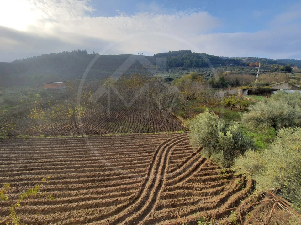Quinta T4 para Venda em Valpaços e Sanfins Foto 24
