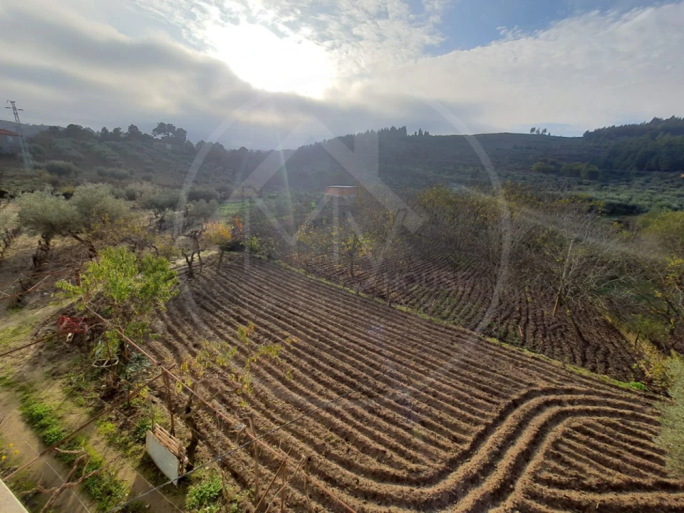 Quinta T4 para Venda em Valpaços e Sanfins Foto 25