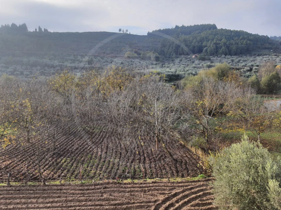Quinta T4 para Venda em Valpaços e Sanfins Foto 26