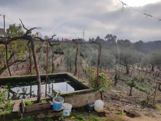 Quinta T4 para Venda em Valpaços e Sanfins Foto 22