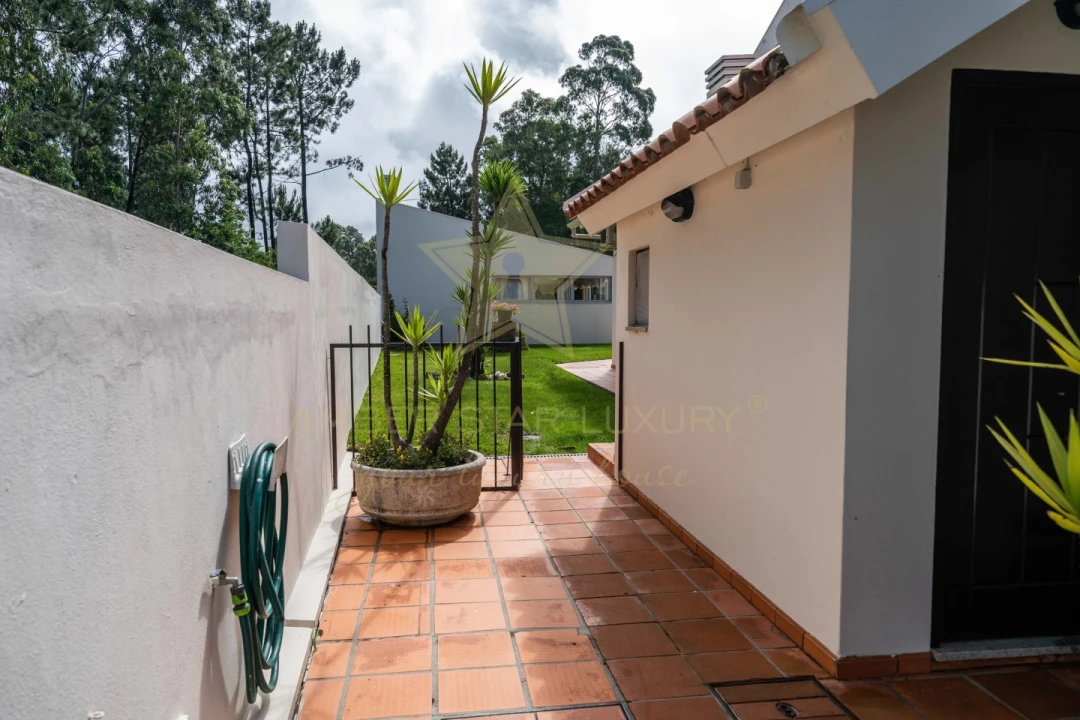 Negócio para Venda em Anta e Guetim Foto 51