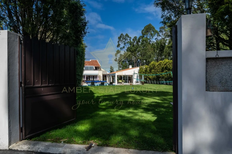 Negócio para Venda em Anta e Guetim Foto 68