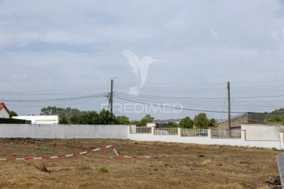 Terreno para Venda em Santa Maria e São Miguel, São Martinho, São Pedro Penaferrim