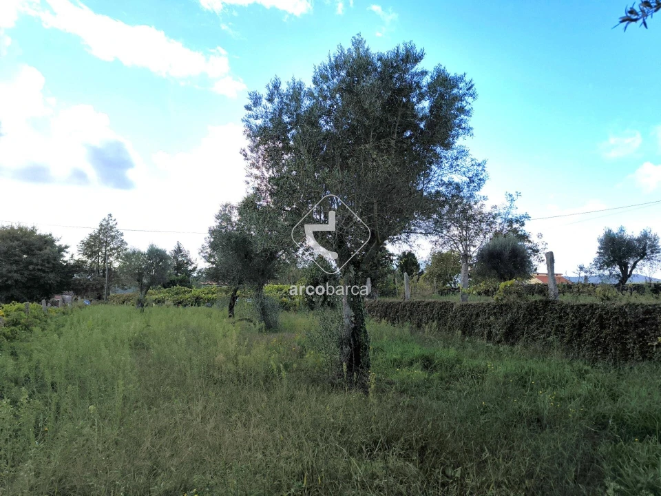 Moradia T3 para Venda em Agualonga Foto 13