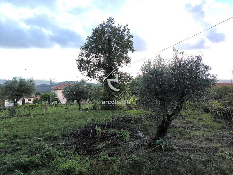 Moradia T3 para Venda em Agualonga Foto 37