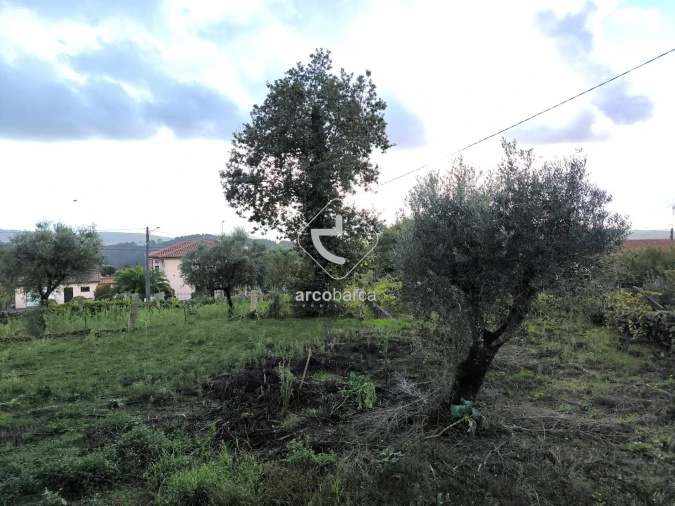 Moradia T3 para Venda em Agualonga Foto 37