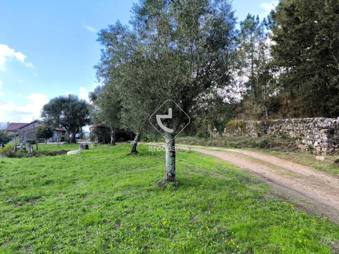 Moradia T3 para Venda em Agualonga Foto 32