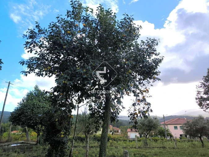 Moradia T3 para Venda em Agualonga Foto 36