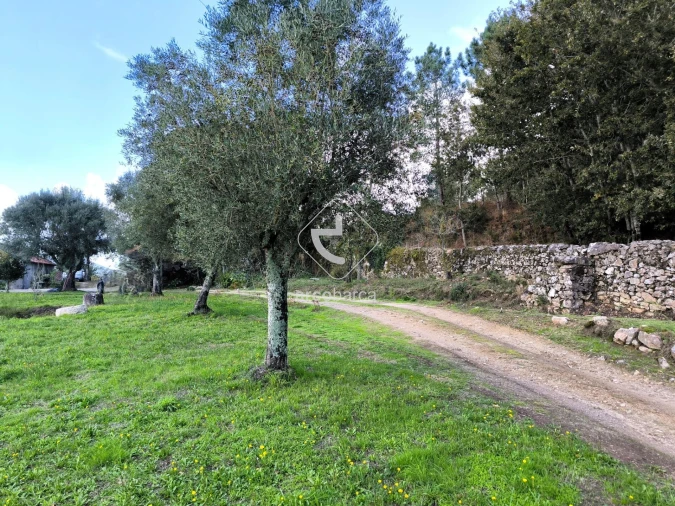 Moradia T3 para Venda em Agualonga Foto 10