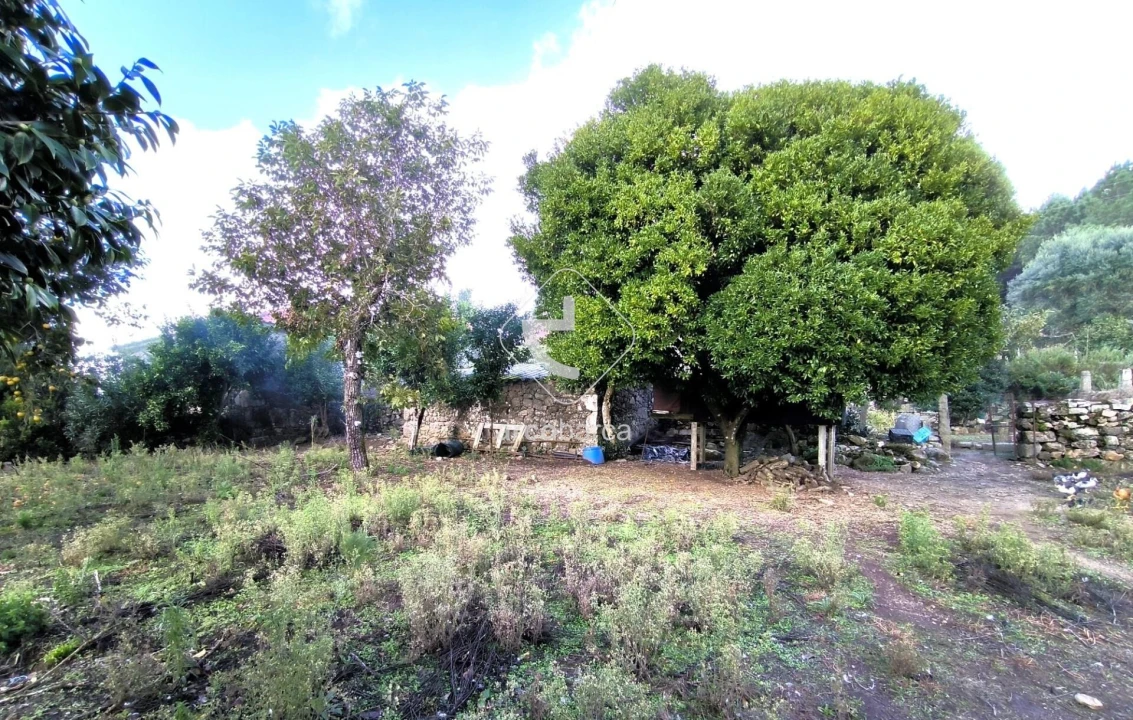 Moradia T3 para Venda em Agualonga Foto 35