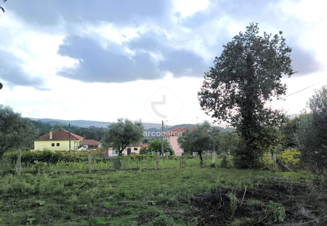 Moradia T3 para Venda em Agualonga Foto 38