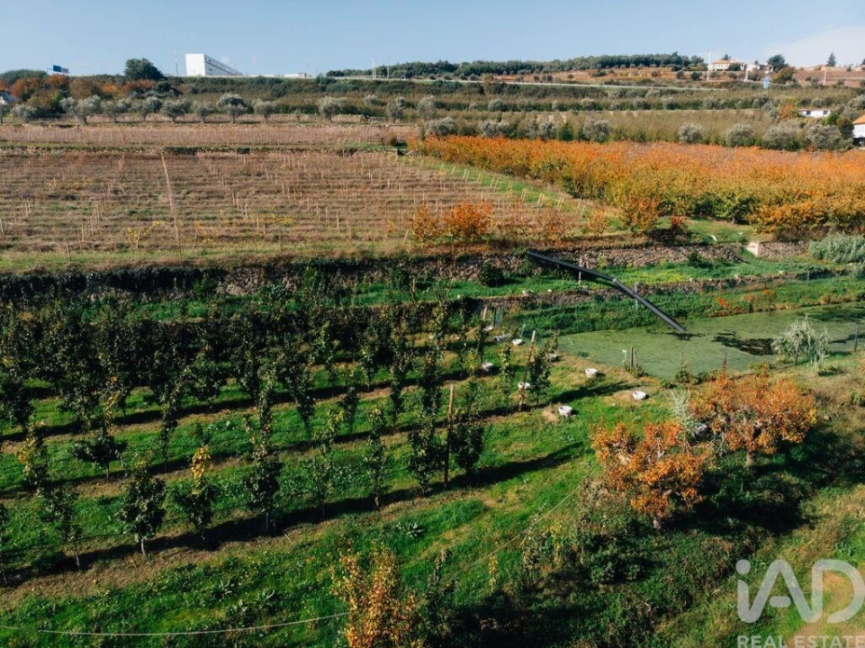 Moradia T16 para Venda em Cepões, Meijinhos e Melcões Foto 24