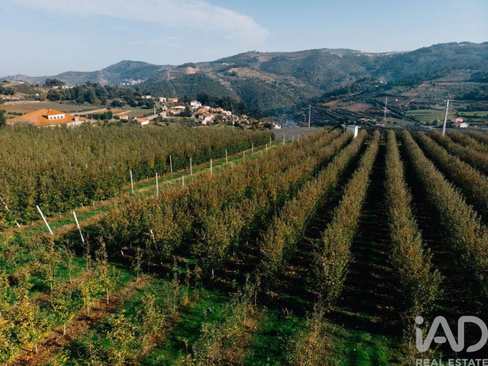 Moradia T16 para Venda em Cepões, Meijinhos e Melcões Foto 19