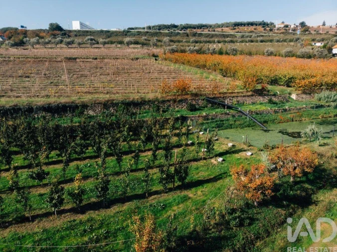 Moradia T16 para Venda em Cepões, Meijinhos e Melcões Foto 24