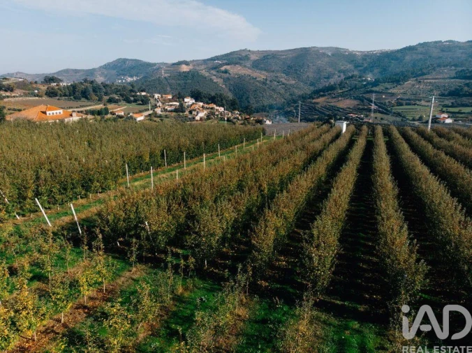 Moradia T16 para Venda em Cepões, Meijinhos e Melcões Foto 19