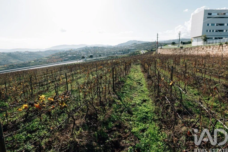 Moradia T16 para Venda em Cepões, Meijinhos e Melcões Foto 16