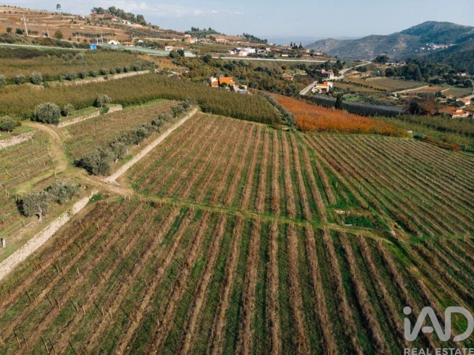 Moradia T16 para Venda em Cepões, Meijinhos e Melcões Foto 17