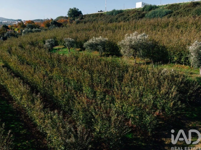 Moradia T16 para Venda em Cepões, Meijinhos e Melcões Foto 21