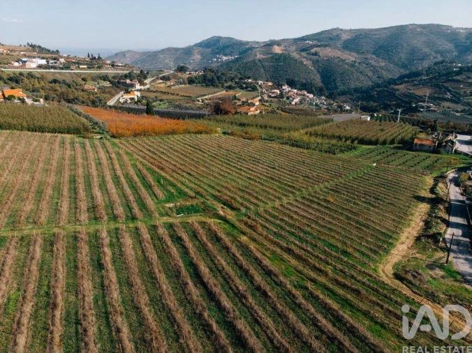 Moradia T16 para Venda em Cepões, Meijinhos e Melcões Foto 23