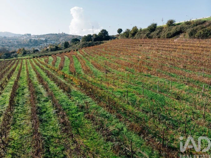 Moradia T16 para Venda em Cepões, Meijinhos e Melcões Foto 22