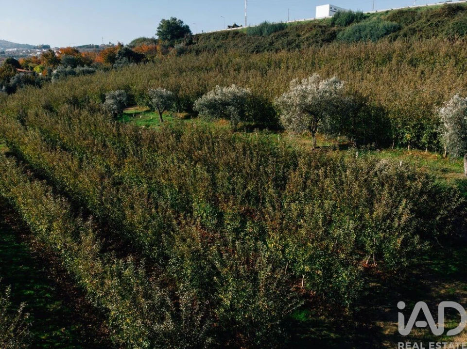 Moradia T16 para Venda em Cepões, Meijinhos e Melcões Foto 21