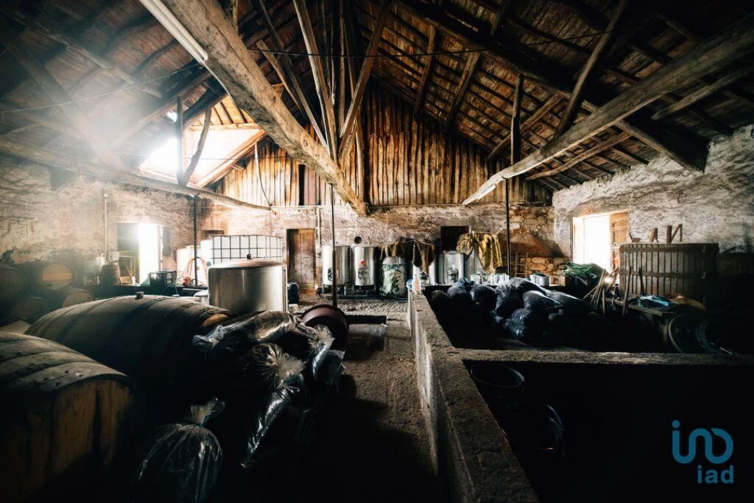 Moradia T16 para Venda em Cepões, Meijinhos e Melcões Foto 11