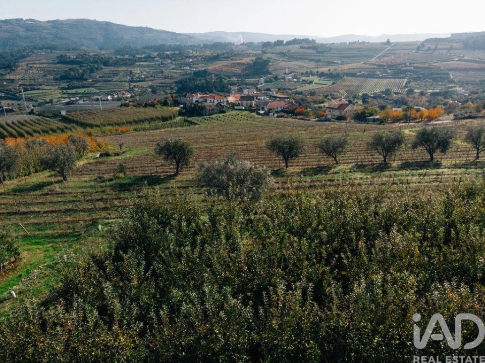 Moradia T16 para Venda em Cepões, Meijinhos e Melcões Foto 20