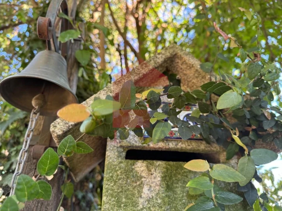 Moradia T4 para Venda em Prado (São Miguel) Foto 39