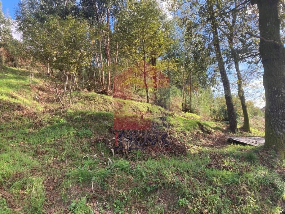 Terreno para Venda em Valdreu Foto 13