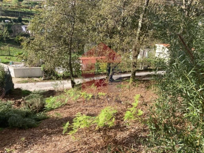 Terreno para Venda em Valdreu Foto 5