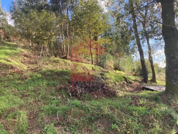 Terreno para Venda em Valdreu Foto 13
